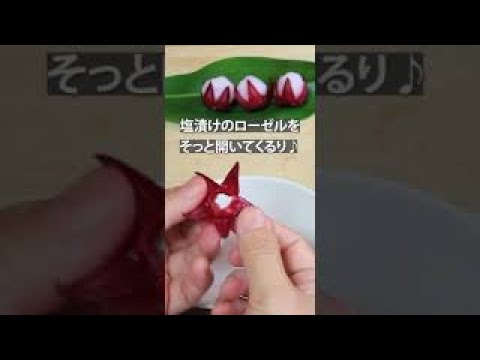 ハイビスカスローゼルのてまり寿司 #shorts