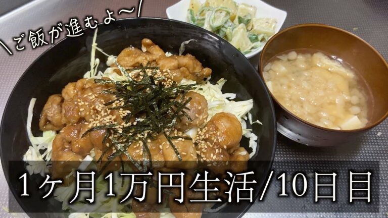 【1ヶ月1万円生活10日目】鶏もも肉丼でご飯がすすむレシピ