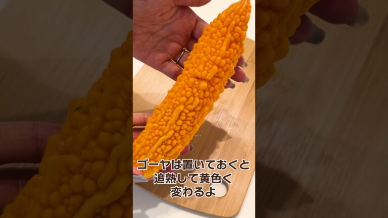 ゴーヤとトマトの酢サラダ【10分簡単】