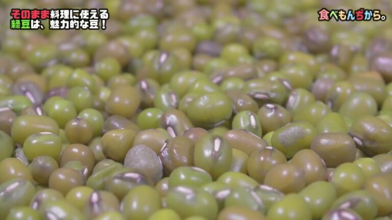 そのまま料理に使える緑豆（りょくとう）は、魅力的な豆！