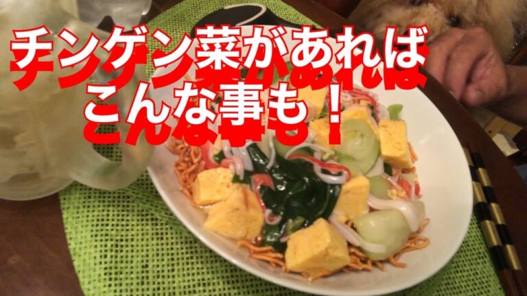 チンゲン菜レシピ超簡単！チンゲン菜を使った料理