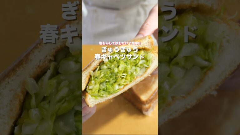 【春キャベツだけで驚くほど旨い！】塩もみして挟むだけ「ぎゅうぎゅう春キャベツサンド」の作り方 #shorts  #簡単レシピ #料理