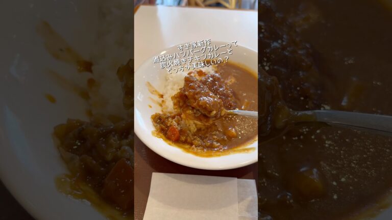 すき家新作煮込みハンバーグカレーって、ほろほろチキンとどっちが美味しいの？#新商品 #すき家 #カレー