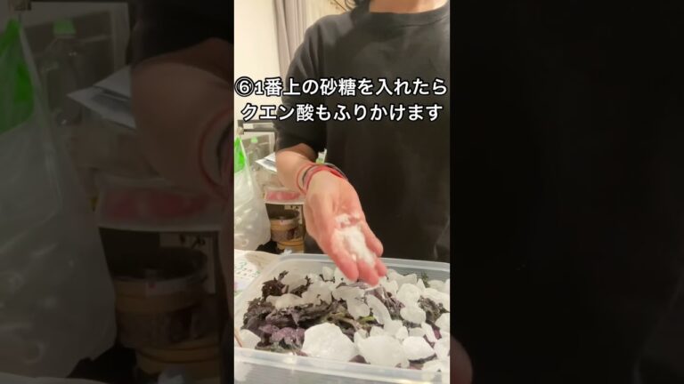 火を使わない赤紫蘇ジュース #赤紫蘇ジュース #赤しそジュース#酵素