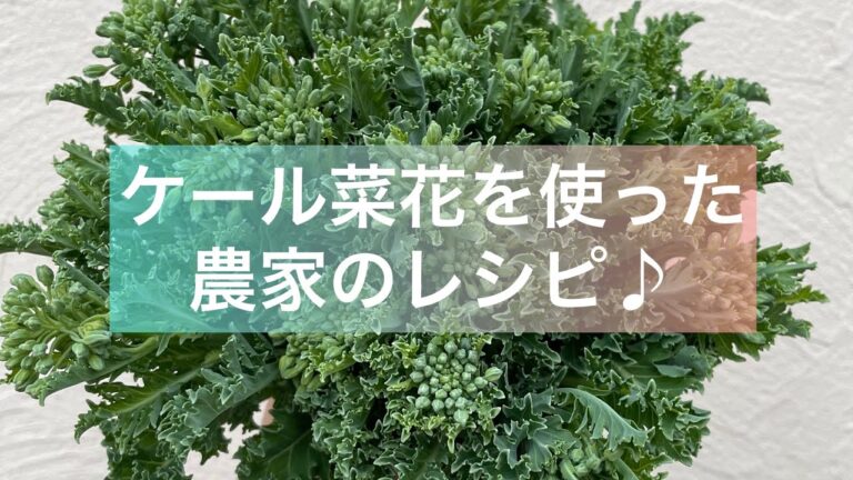 と〜っても簡単で美味しい！ケール菜花を使った農家のレシピ♪