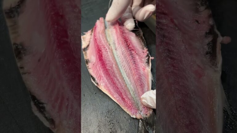 イワシの手開き　#shorts