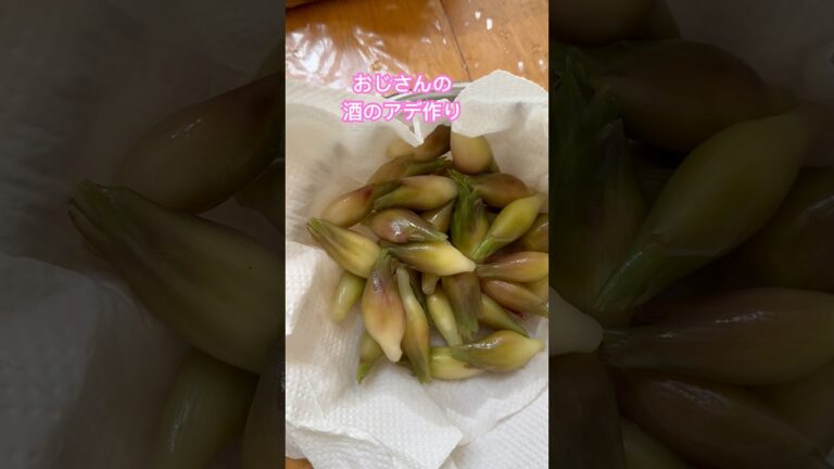 ネコと子ネコとおじさんのネコ無し動画　おじさんの酒のアデ作りシリーズ　茗荷の酢漬け　#shorts #おじさんごはん #酒のアテ #酒の肴 #ミョウガ #みょうが #ミョウガ