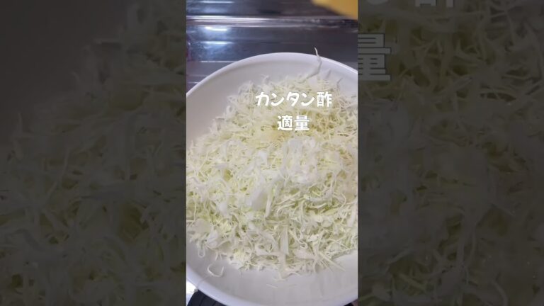 【ずぼら飯】三十路デブにキャベツ渡してみた4#ダイエット