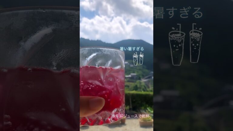田舎の風景と赤紫蘇ジュース（炭酸ver.）