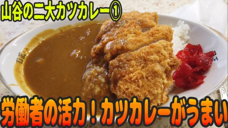 普通がうまい！意外とスパイシーな労働者カレー【昼めしジプシー】南千住・日正