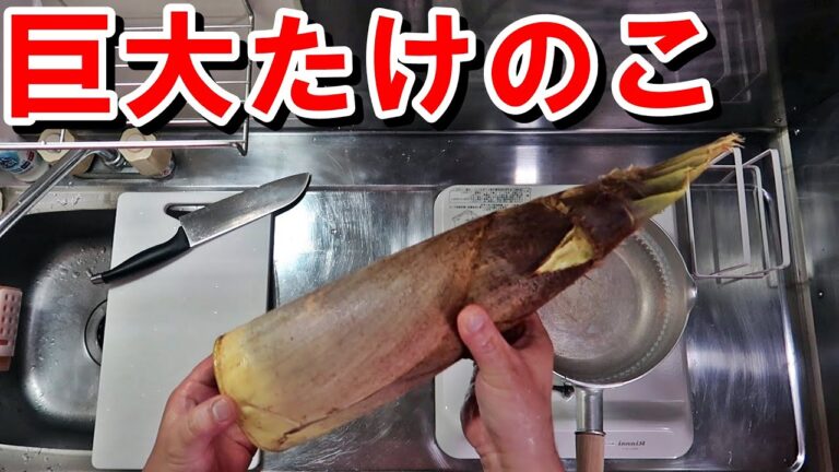 【巨大】タケノコ