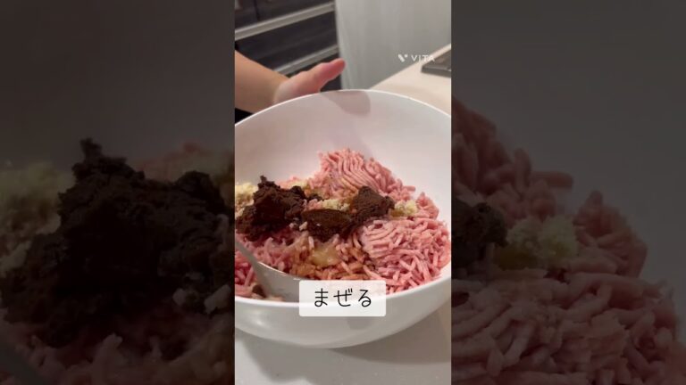 ビビンバ丼　再投稿