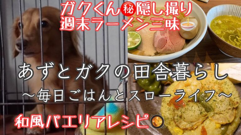 [田舎暮らしアラフィフ］和風パエリアレシピ/ラーメン三昧した週末/ガクくん隠し撮り/やすまるだし/暮らし/日常