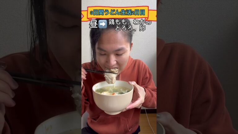 3日間うどんだけ！痩せる？#udon #japanesefood #ramen #healthyfood #lowcarb #lowfat #diet #ダイエット #美肌 #節約 #節約レシピ