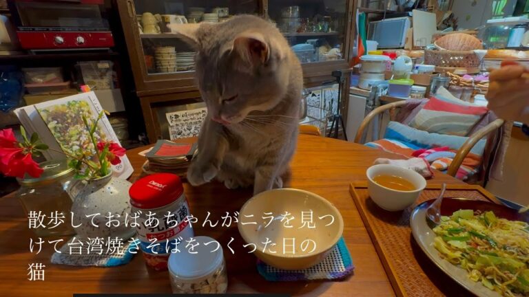 『散歩して..  おばあちゃんがニラを見つけて..  台湾焼きそばをつくった日の猫』・・・