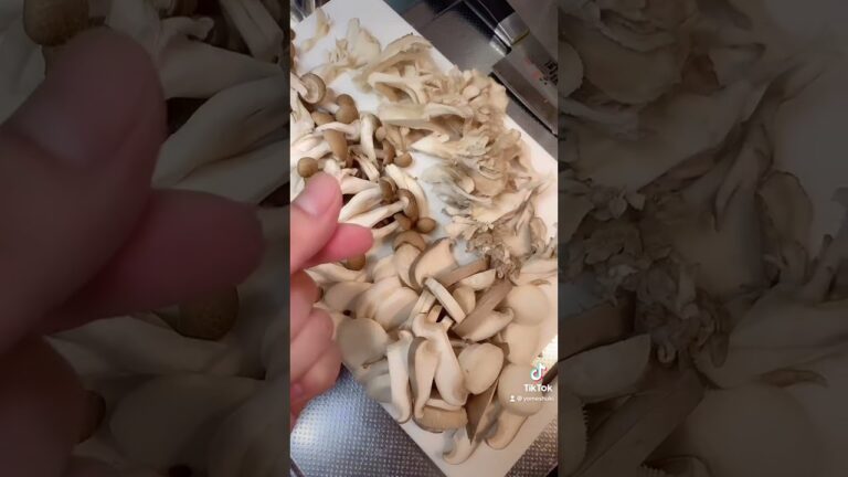 【料理】キノコのクリームパスタ作りまーす #Shorts
