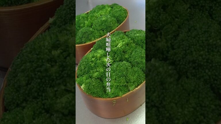 夫婦喧嘩した次の日の弁当【ブロッコリー弁当】