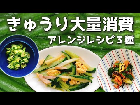 きゅうり大量消費アレンジレシピ3種