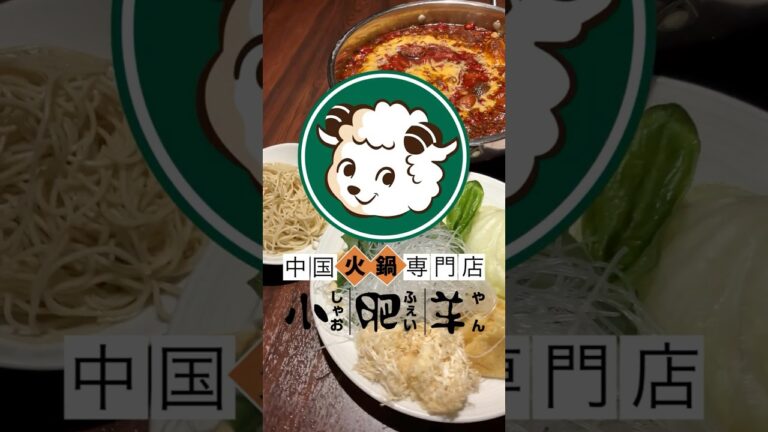 🔥一度食べたら、もう戻れない。これが本場・薬膳火鍋の沼🌿#火鍋 #薬膳火鍋 #小肥羊 #火鍋女子 #火鍋デート #火鍋好きと繋がりたい #ラム肉 #東京グルメ #中華料理 #薬膳グルメ