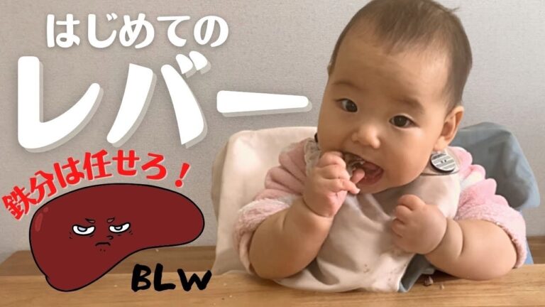 【離乳食】鉄分が足りないと大変な事に！？初めてのレバー