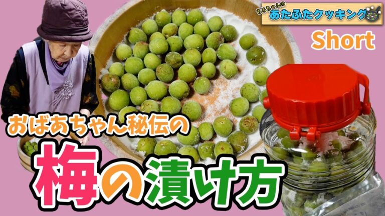 ちろちゃんのあたふたクッキング 梅漬けに挑戦。４K＃shorts