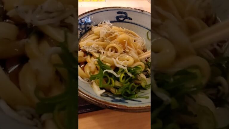 限定のしらすおろしうどん