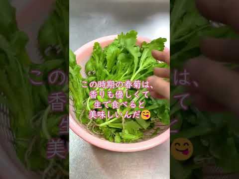 【農家めし】旬の春菊サラダ #shorts