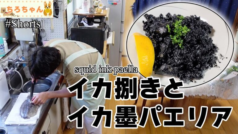 ちろちゃんのあたふたクッキング イカを捌いてイカスミパエリアを作った。4K#shorts