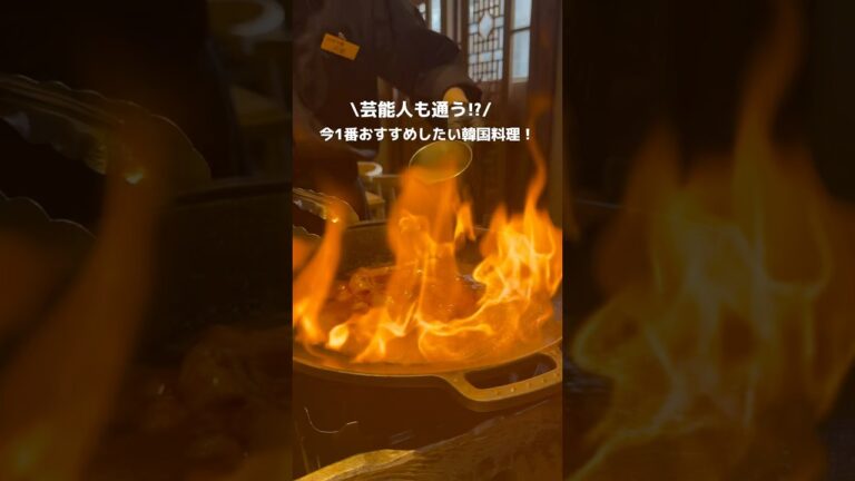 【山本牛蔵】#神楽坂グルメ#韓国料理#韓国#グルメvlog#グルメ#グルメ好き#午後のグルメ#東京グルメ#gourmet#japanesefood#ホルモン#サムギョプサル