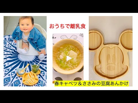 春キャベツ＆ささみの豆腐あんかけ﻿ by おうちで離乳食 離乳食中期レシピ