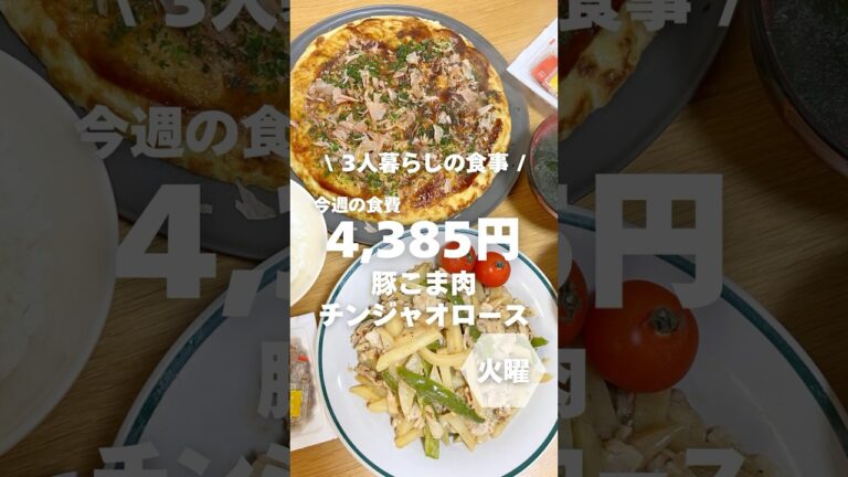 1週間4,500円で自炊する3人暮らしの食事/豚こま肉のチンジャオロース作るよ〜 #自炊記録 #shorts