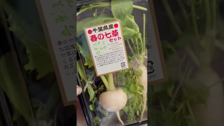 七草粥食べた話