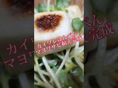 【ちょこっとおつまみ】#213 カイワレとはんぺんでちょこっと❇️ カイワレはんぺんマヨワサビ和え❇️ パクパク食べれる美味しいさ❇️