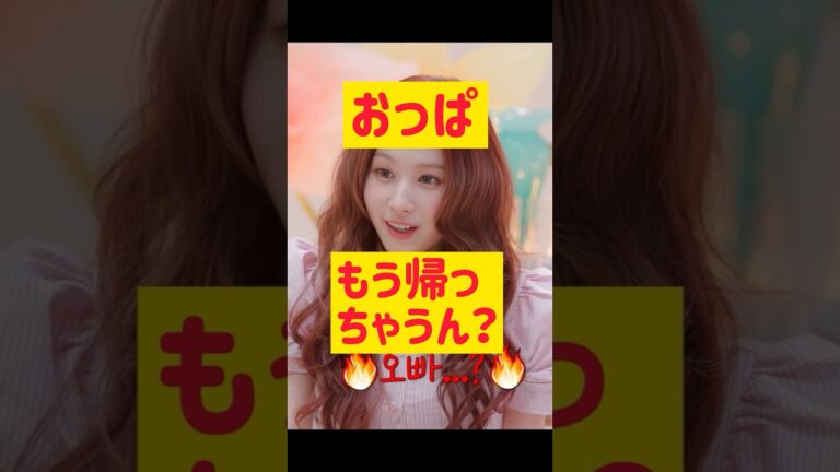 TWICEサナ「おっぱこれ作ったら帰っちゃうん？ 」 @nanasensei777 #韓国語 #twice #サナ