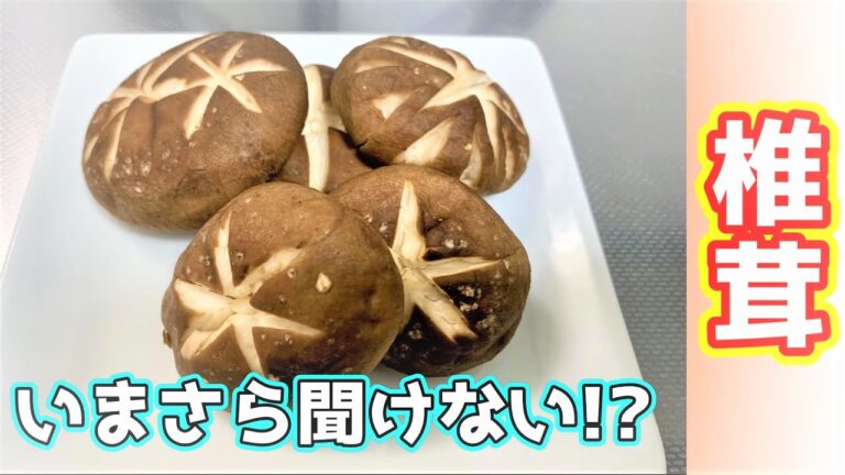 【いまさら聞けない!?】お鍋や天ぷらで大活躍！しいたけの飾り切り　～菊花椎茸～