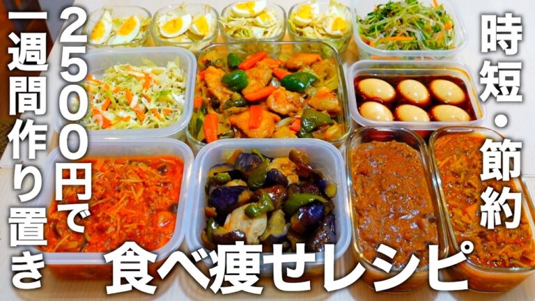 【2500円で10品】【低糖質＆高タンパク質】野菜をたっぷり使った時短もできる1週間の作り置き。