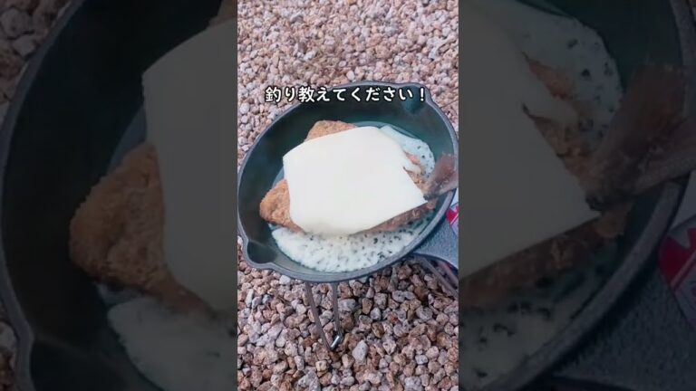 【キャンプ飯】アジフライをチーズアレンジしたら絶品でした#shorts