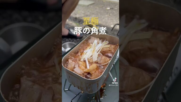 【キャンプ飯】至極！メスティンで豚の角煮！！#shorts #キャンプ
