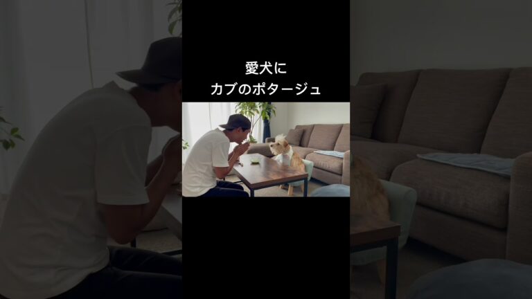 愛犬にカブのポタージュ。