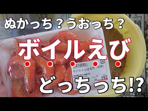 ◆ぬか床の名前は「ぬかっち」◆ボイルえび【生食用】漬けてみたｗｗ
