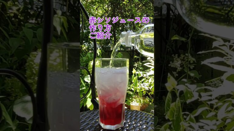 赤しそジュースの作り方 #家庭菜園 #野菜生活 #菜園 #農業 #赤シソジュース