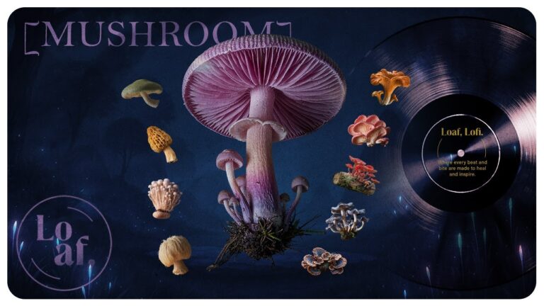 mushroom. 🍄 Loaf, Lofi.