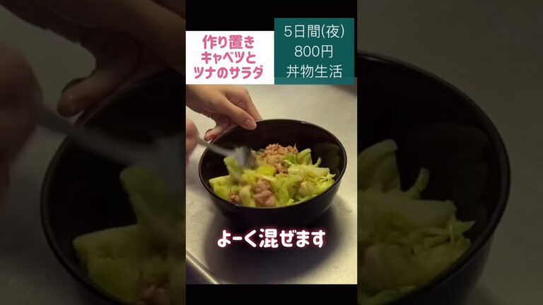 #丼物#どんぶり#節約#料理#ごはん#1人暮らし#自炊#800#食事#節約生活#レシピ#献立#簡単#1週間の食事#副菜 #作り置き#shorts
