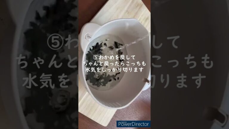 サッと出来てみんな大好き！！『きゅうりとわかめの酢の物』#暇な料理人の週末料理 #料理動画 #ダイエットレシピ #ヘルシーレシピ #きゅうり #わかめ #酢の物 #献立 #夜ご飯 #shorts