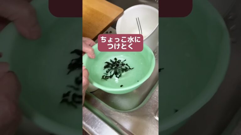 たまご麩とわかめの味噌汁#shorts