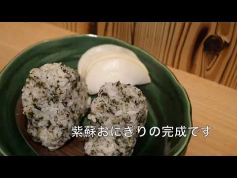 夏の風物詩「紫蘇おにぎり」