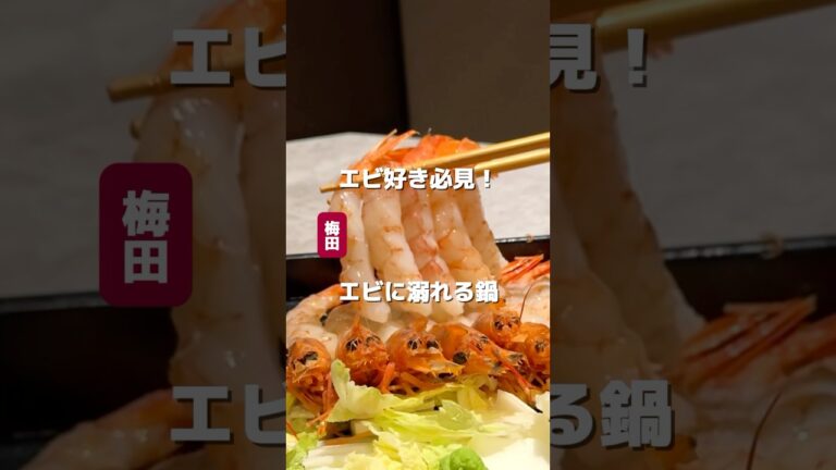 エビ好き必見！エビに溺れる鍋【海鍋亭 梅田店】