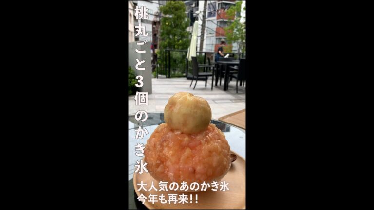 【恵比寿】東京グルメ！ダカフェのもものかき氷がすごすぎた！　#Shorts