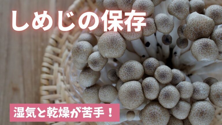 【しめじの保存】あれで包めば長持ちします！（島本美由紀の保存から食品ロス削減）
