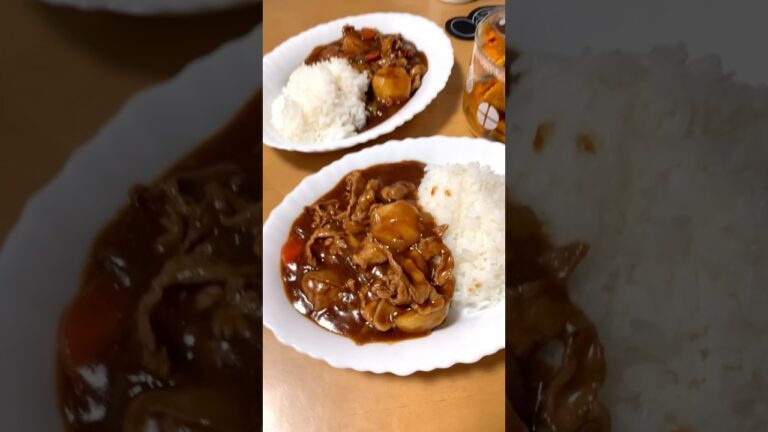 25512D ビーフシチューと飯 #shorts